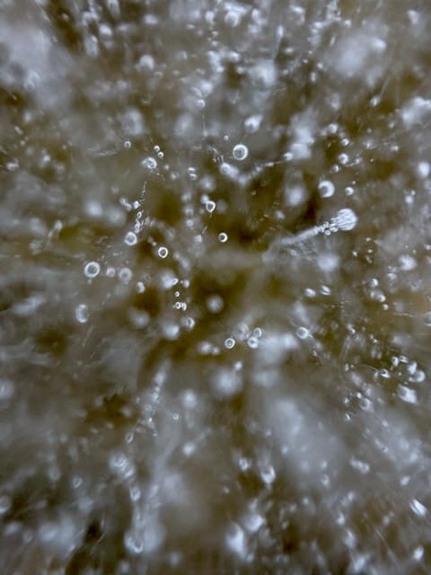 Sauerstoff, gefroren in einem See