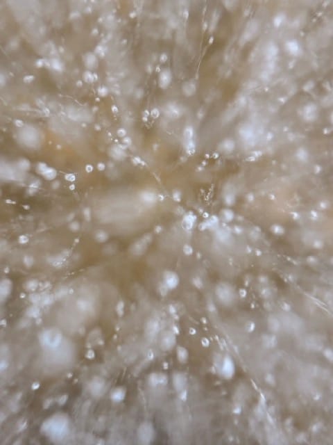 Sauerstoff, gefroren in einem See