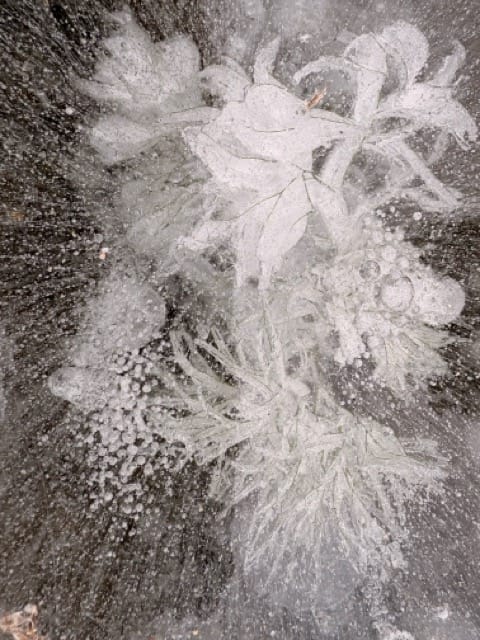 Eisblumen, gefroren in einem See
