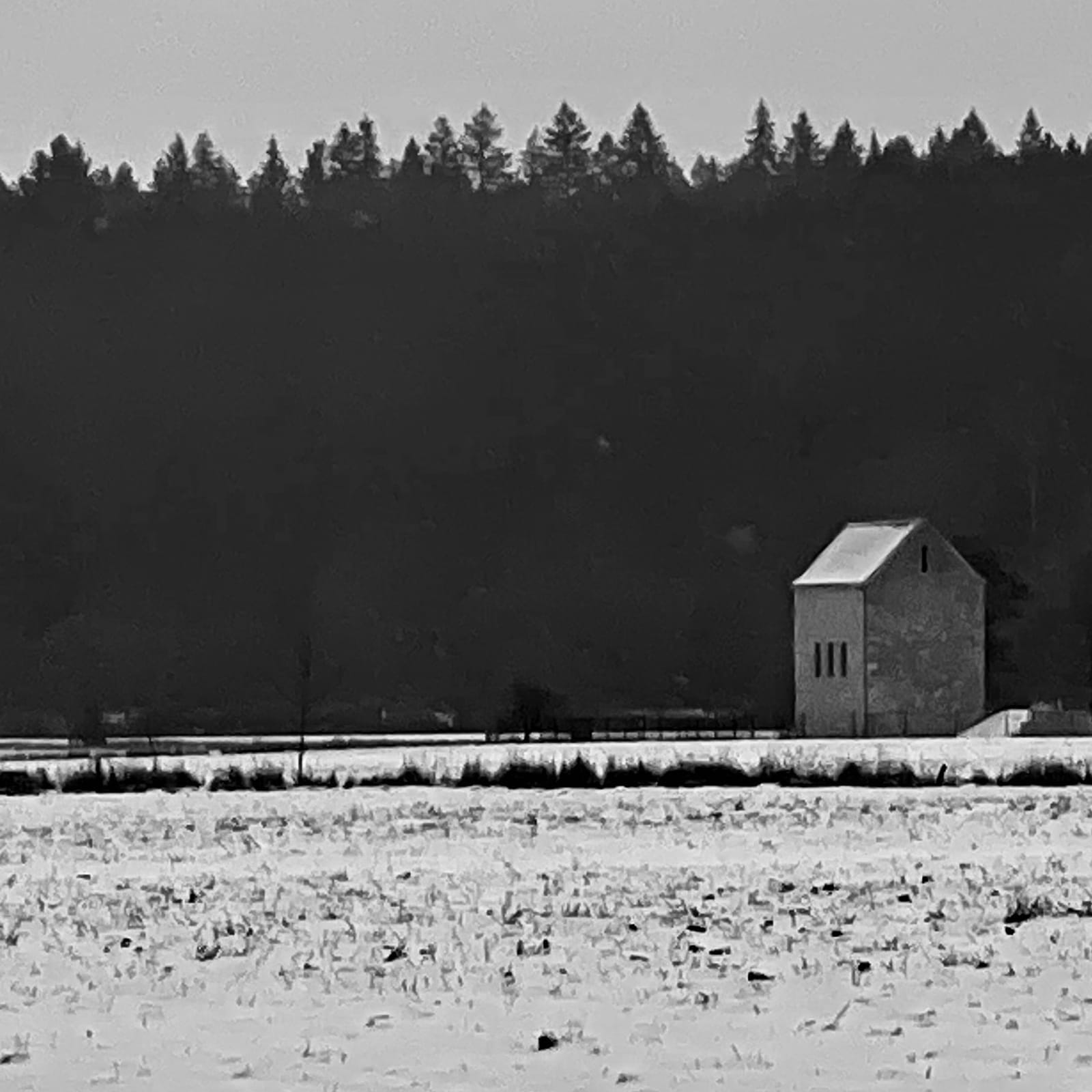 (.microstmblr) Waldspaziergang