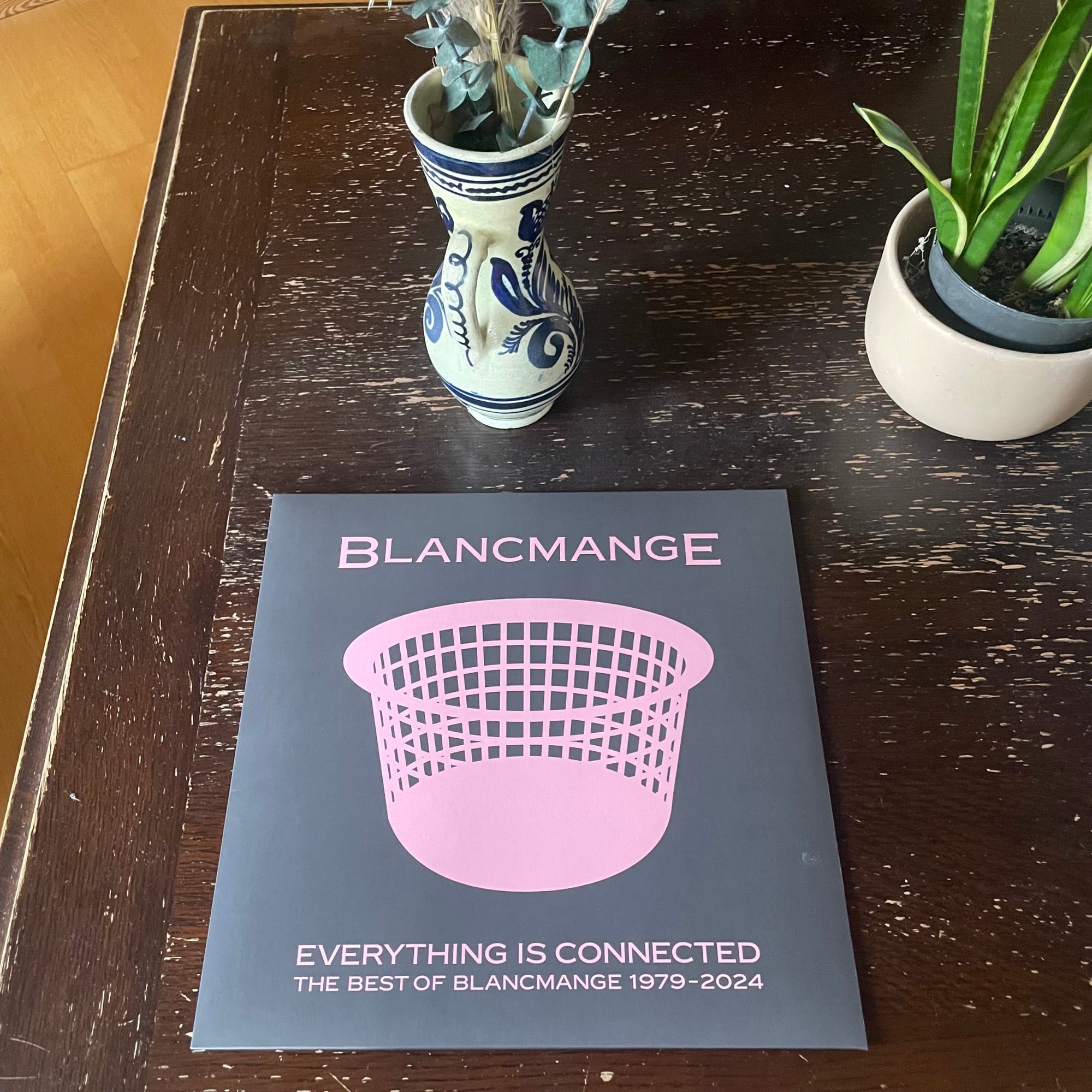 Ein Schallplatten Cover liegt auf einem Holztisch. Auch eine Vase und ein Blumentopf.