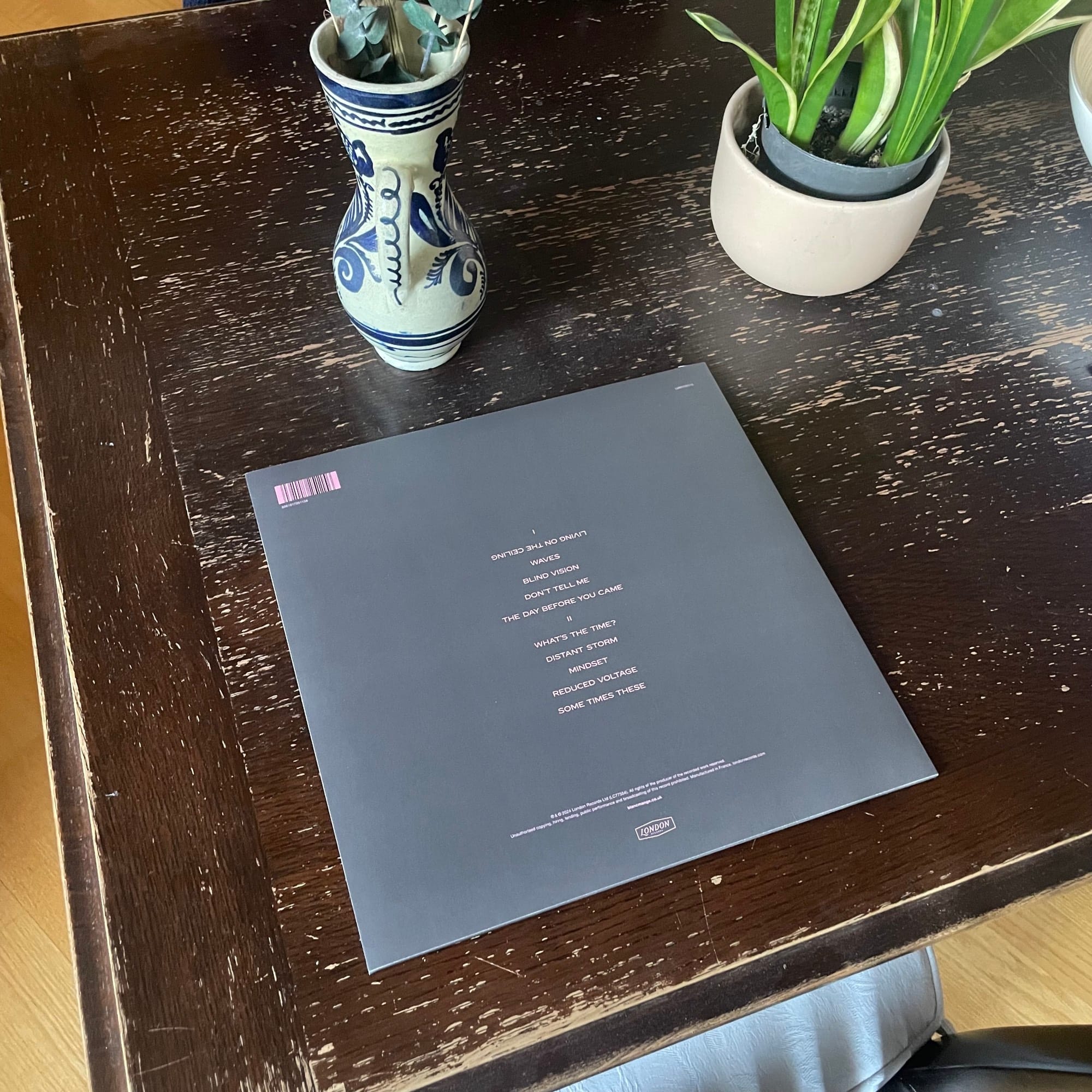 Ein Schallplatten Cover liegt auf einem Holztisch. Auch eine Vase und ein Blumentopf.