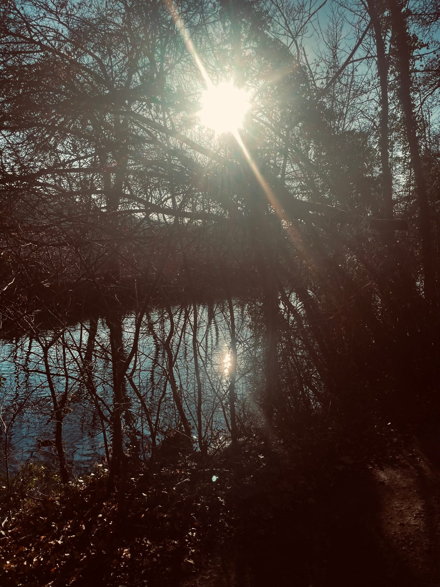 Ein Fluss im Januar 2026, das Land ist karg, der Winter schwingt das Zepter.