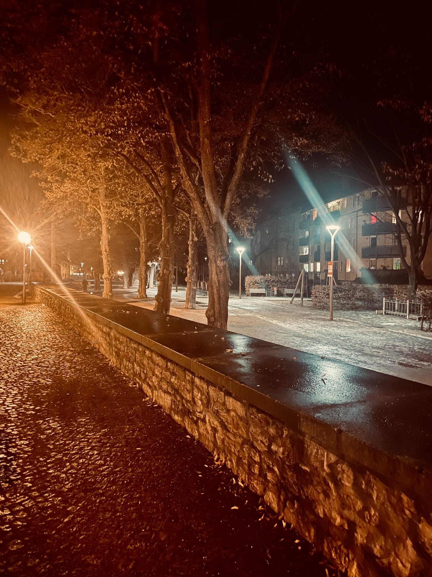 Die Stadt leuchtet in der Nacht und ist nass, überall sind letzte Reste des Schnees erkennbar. Lampen leuchten und Bäume.