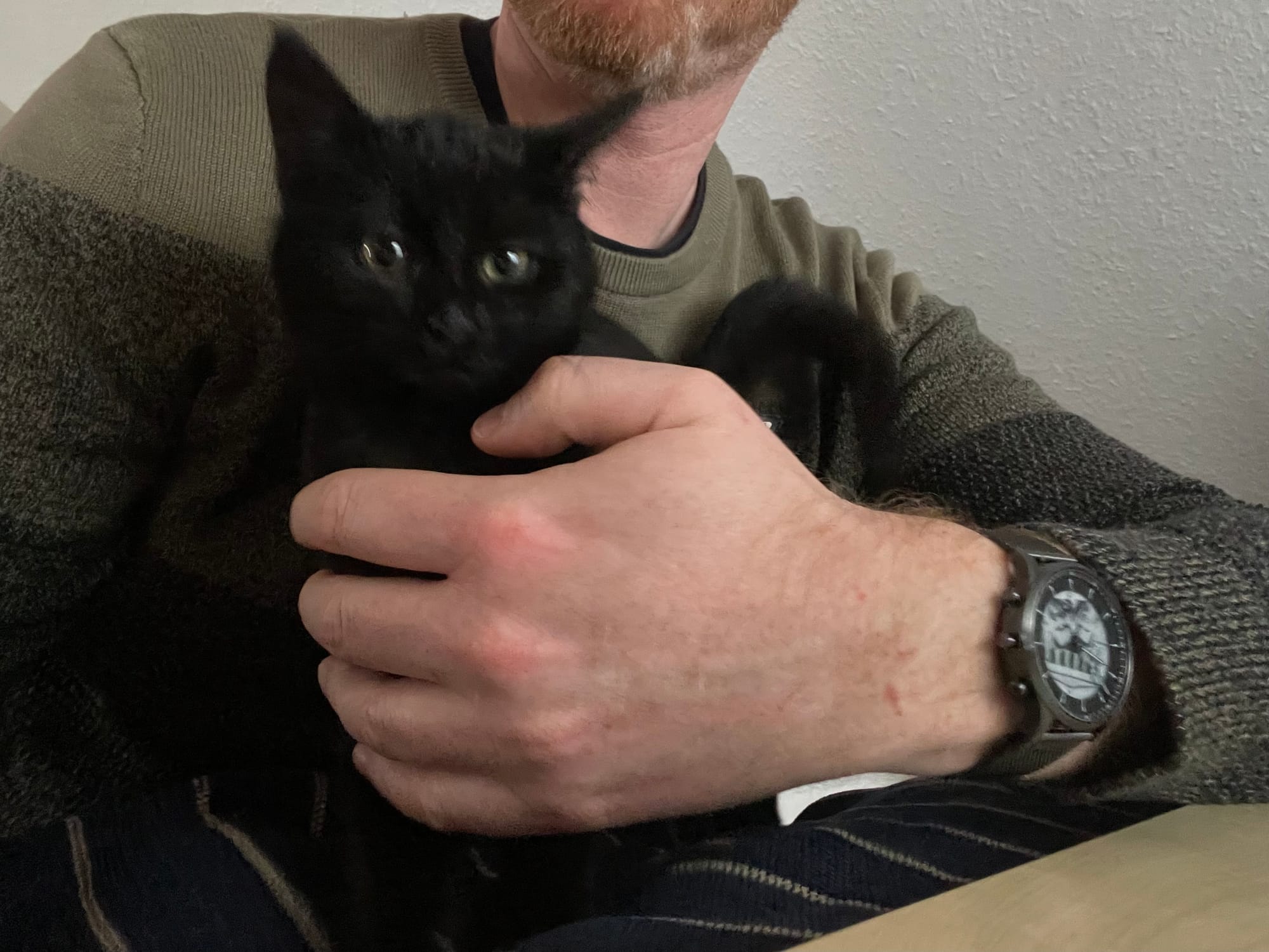 Lakritz auf des Halters Arn.