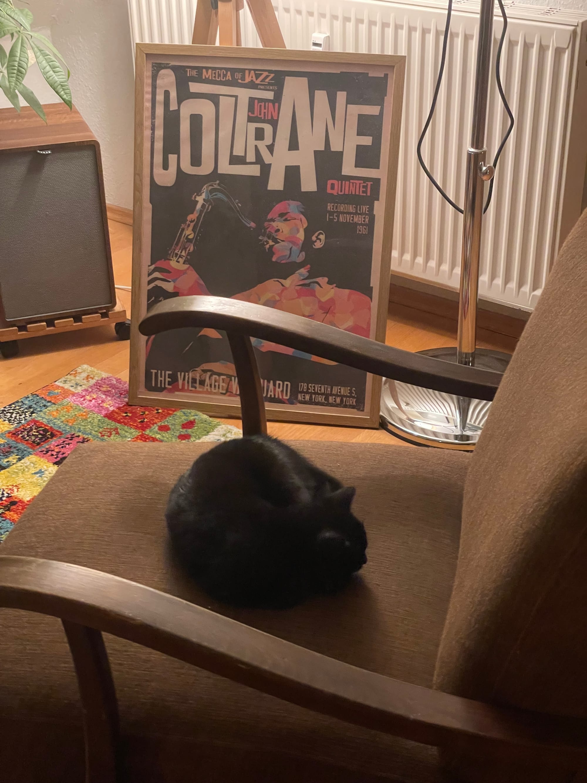 Lakritz auf dem alten Sessel aus den 50er Jahren, im Hintergrund ein Plakat der Jazz-Legende John Coltrane. Lakritz hat in ihrer kurzen Zeit bereits mehrfach das Oeuvre von ihm und Miles Davis gehört