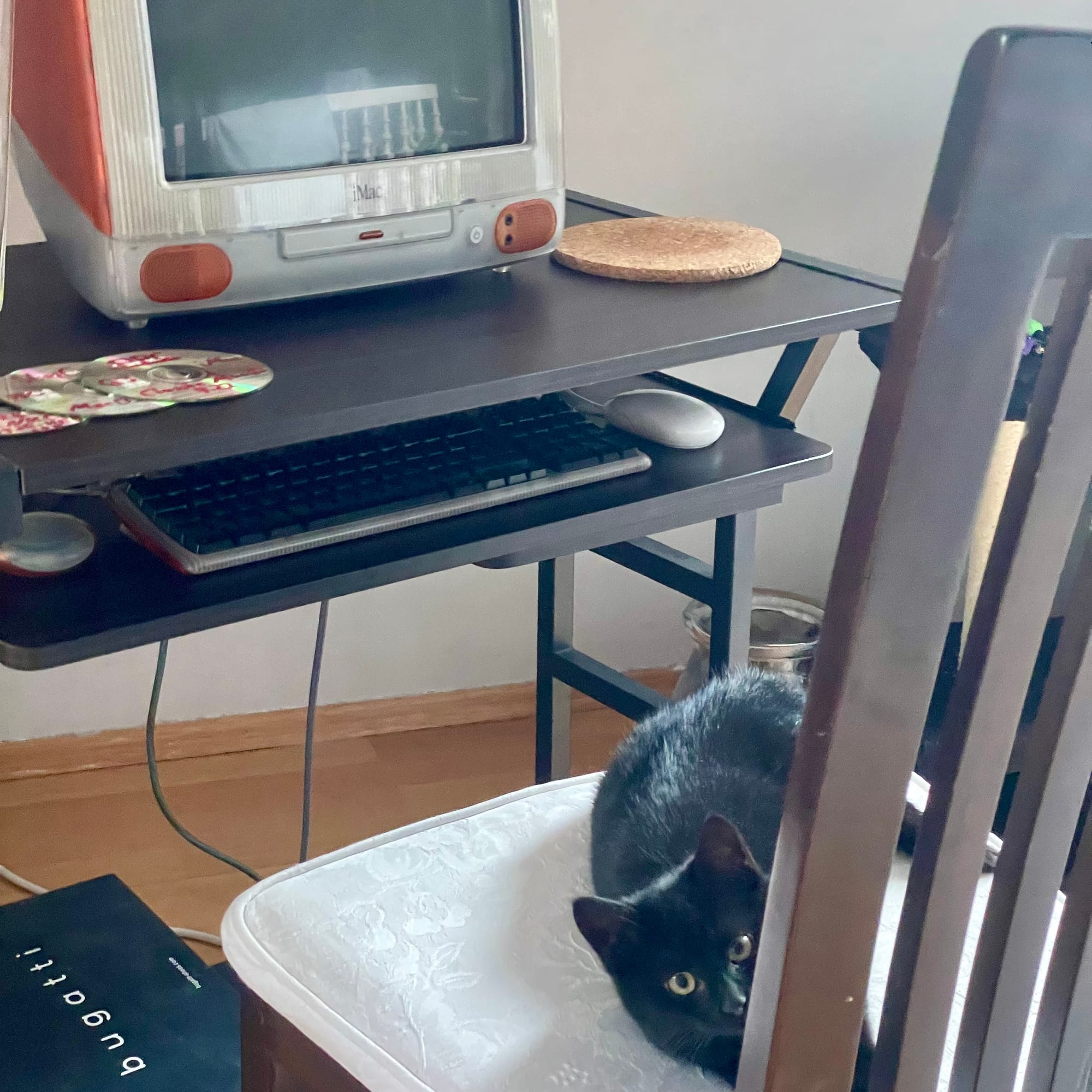 Diese Katze führt doch schon wieder was im Schilde, ich kann es deutlich sehen. Schwarze Katze auf Holzstuhl vor altem Vintage iMac G3