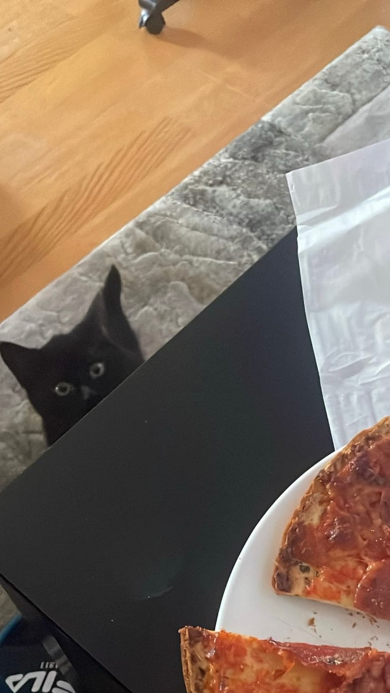  Lakritz sitzt untern Tisch und schielt auf die Pizza.