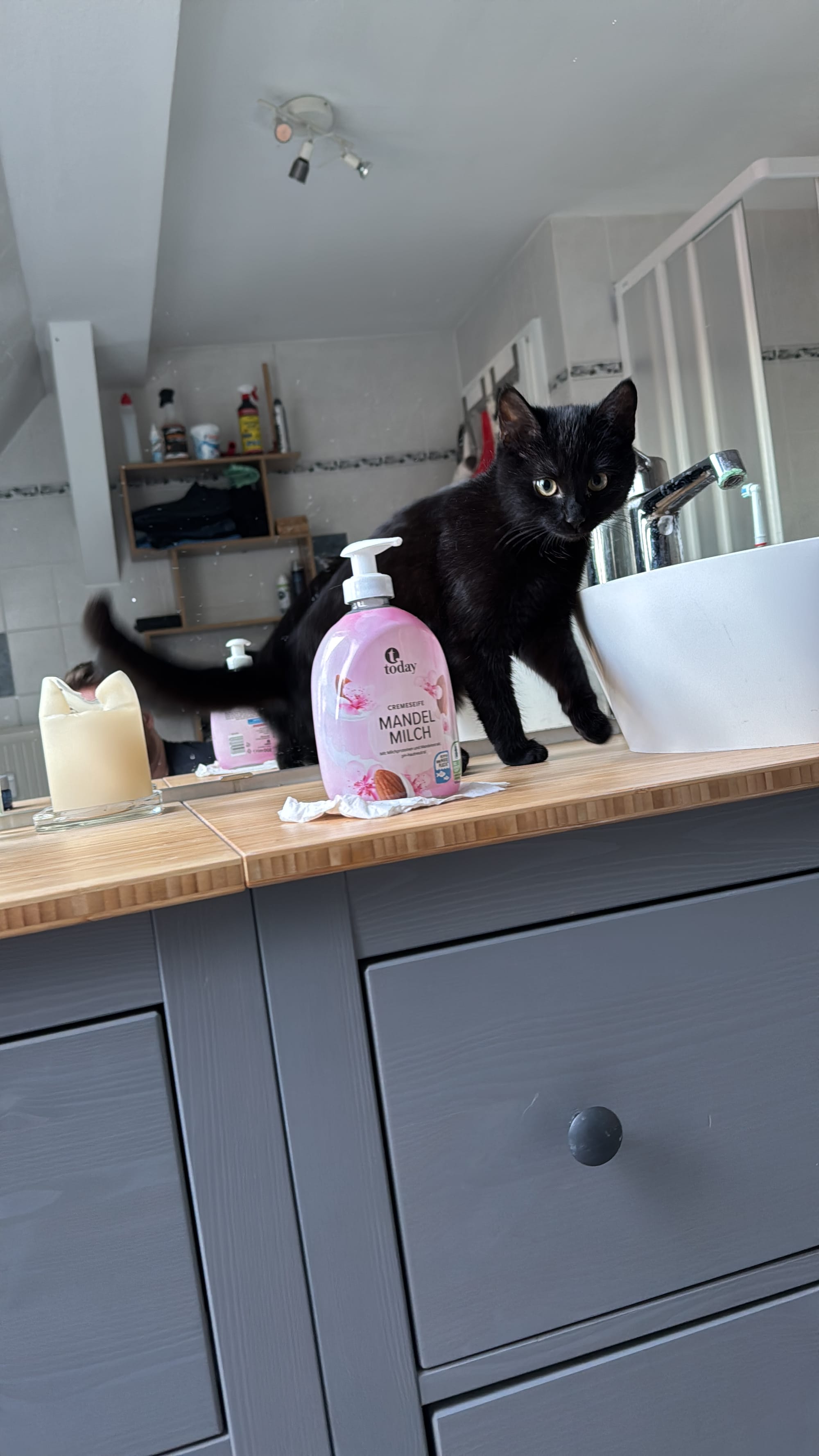 Mietze Katze sitzt auf dem Waschbecken