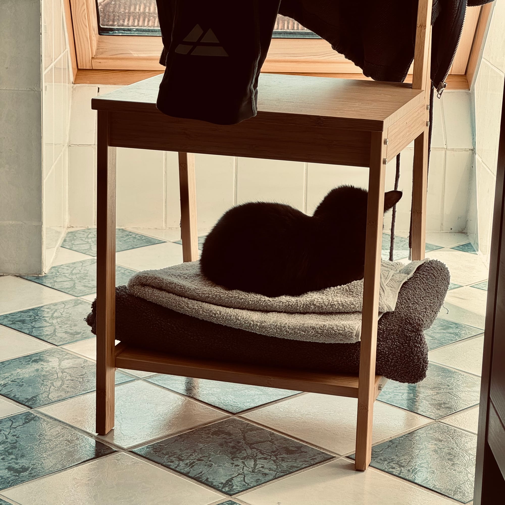 Lakritz schläft auf Handtüchern in einem "Stummer-Diener-Stuhl"