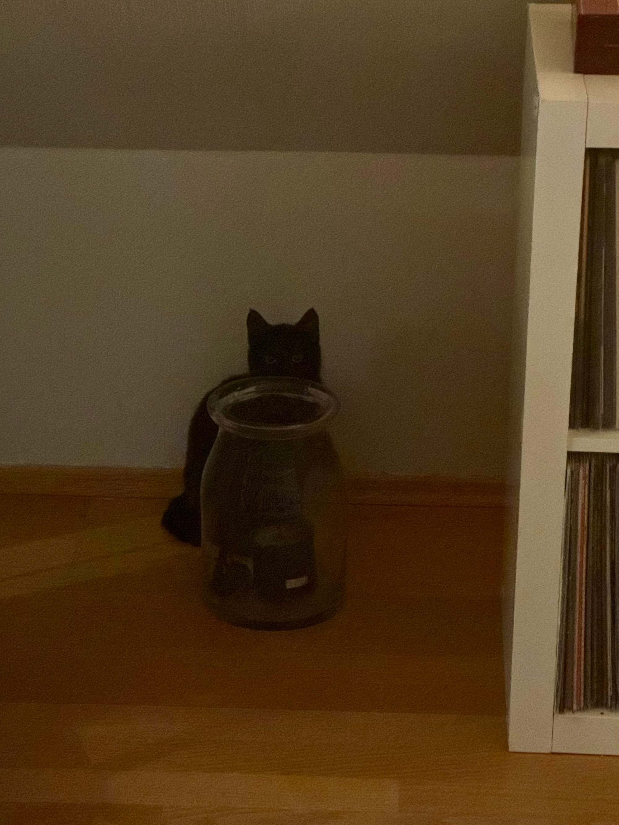 Lakritz sitzt hinter einem Glas Zylinder