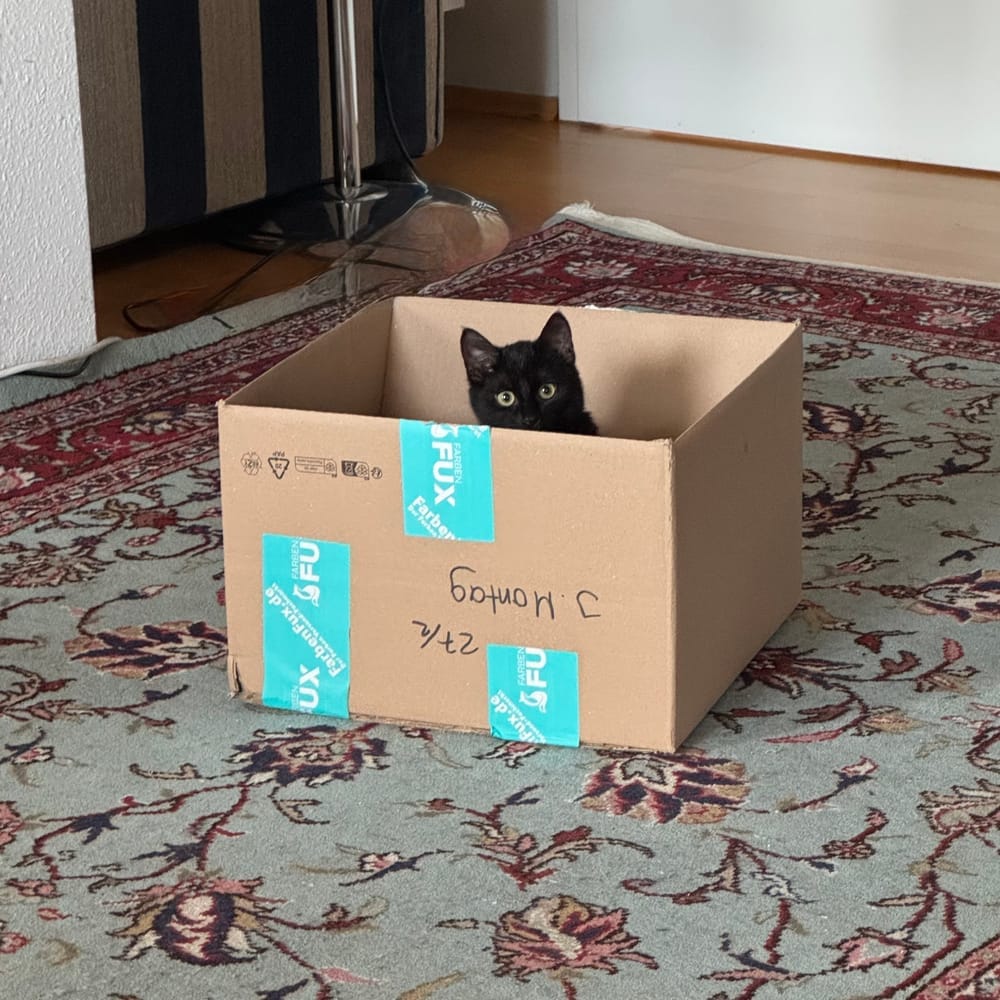 Daily Lakritz: Erwin Schrödinger ist glücklich