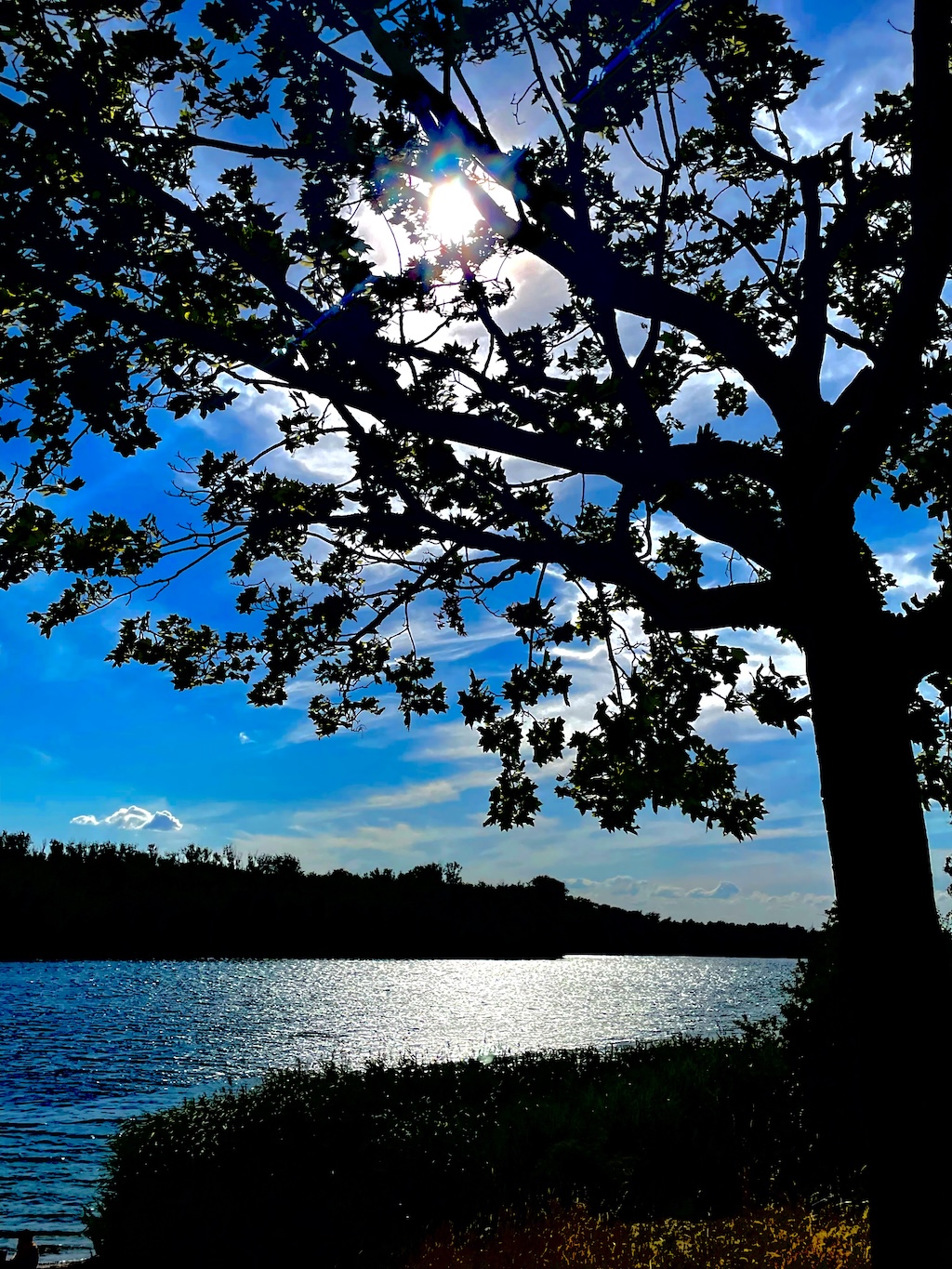 Das Kleinod, Bungalow am See